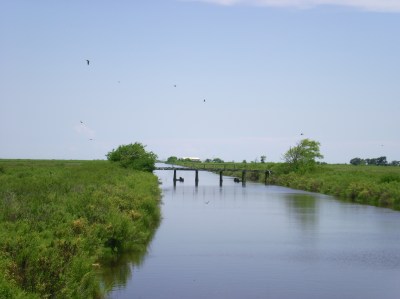 Levee and an old bridge