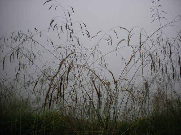 SANYO DIGITAL CAMERA