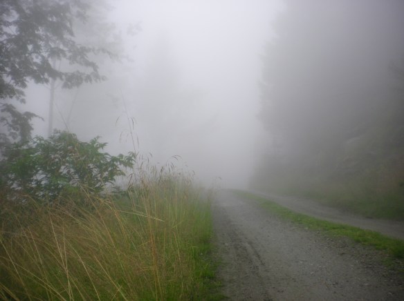 SANYO DIGITAL CAMERA