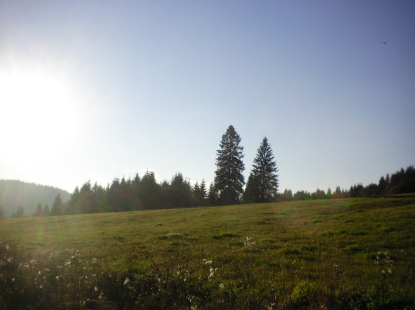 "Sound of Music" country