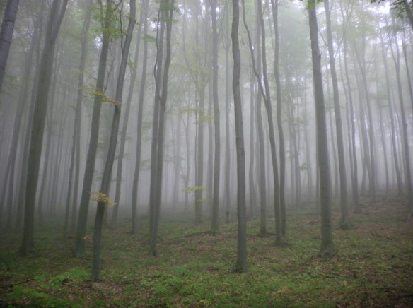 SANYO DIGITAL CAMERA