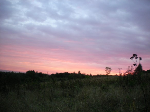 My first Polish sunset, a very cold camping spot in the corn fields