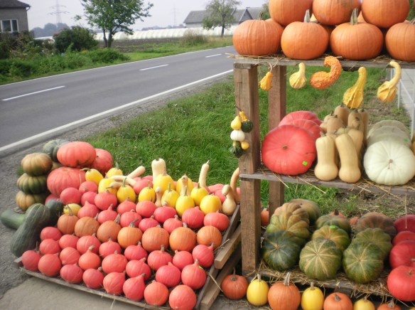 Its almost Halloween 