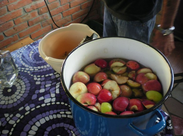 Homemade apple marmalade 