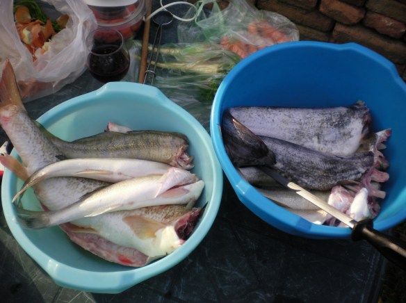 SANYO DIGITAL CAMERA