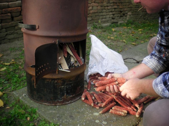 Continue to stoke fire, corn cobs