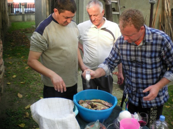 Argue for a while over seasonings then drink a shot of Rakia