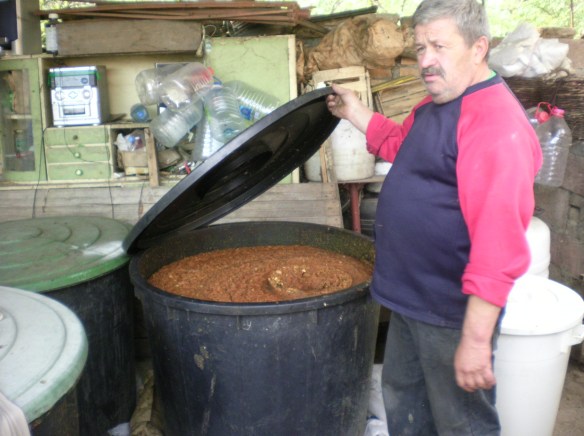 Blended apples awaiting distillation
