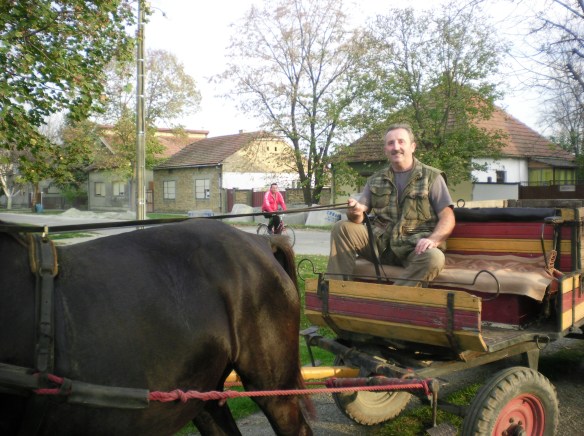 SANYO DIGITAL CAMERA