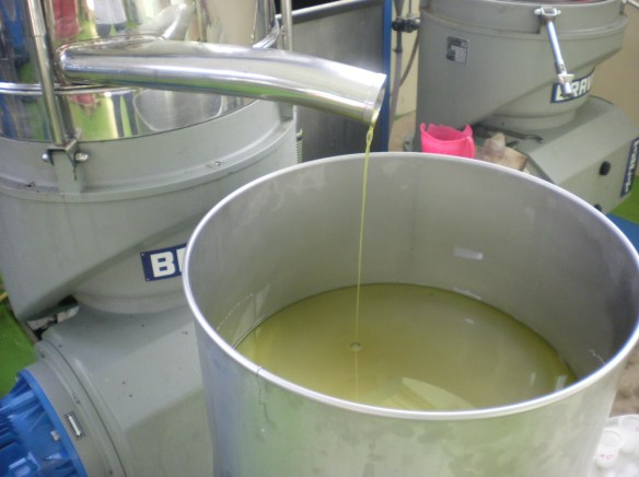 These guys even filled growlers! 