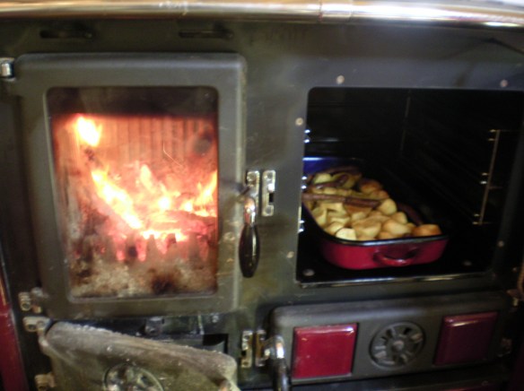 Fireplace stove and oven