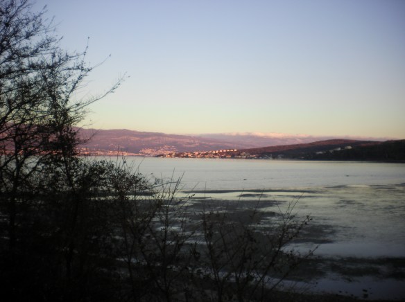 Icy waters near forested shores
