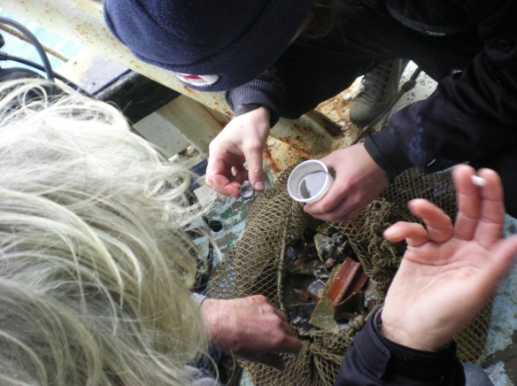 What's this? Could it be a coin? Lets drop it in the acid bath and see if it cleans up!