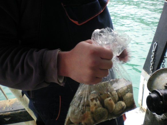 That's just our lunch, clams living near the site