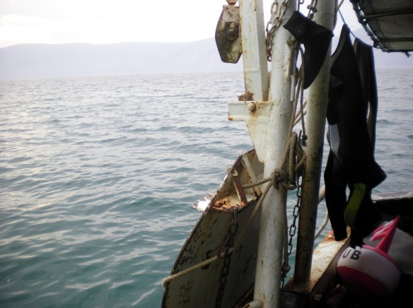 SANYO DIGITAL CAMERA