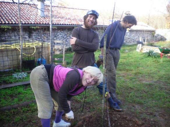 Ljuba and Nino planted an apricot tree in my honor