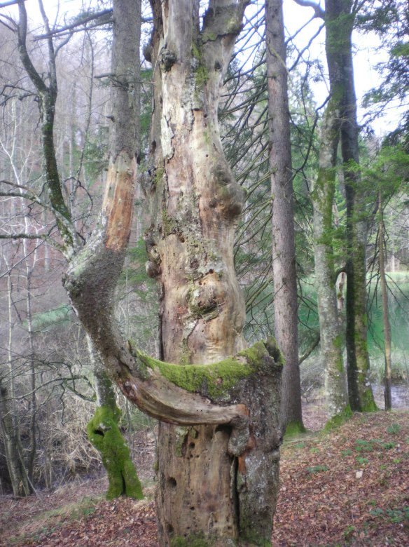 SANYO DIGITAL CAMERA