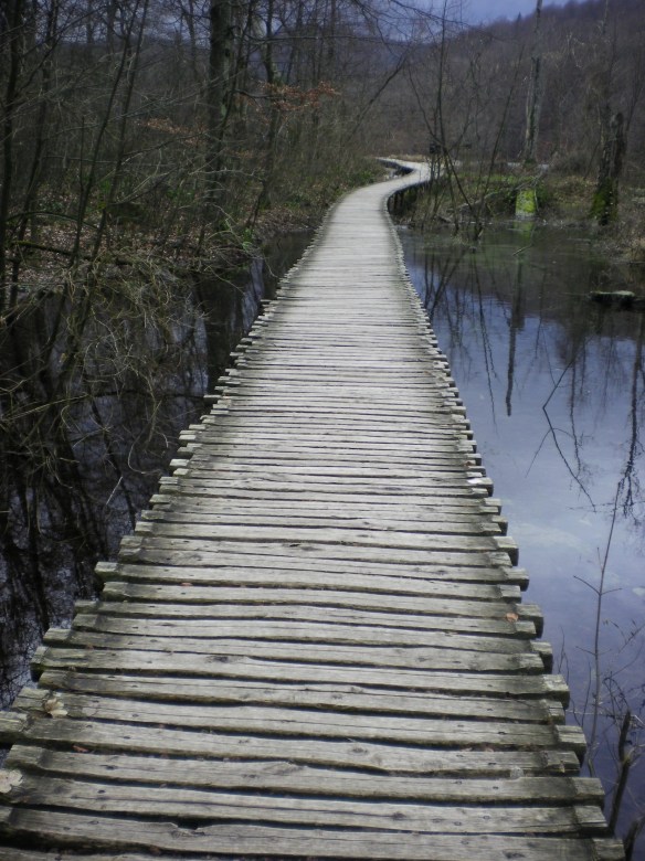 The path continues, either in forward or reverse