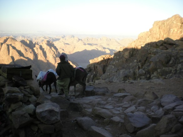 Supplies are muled in to the summit