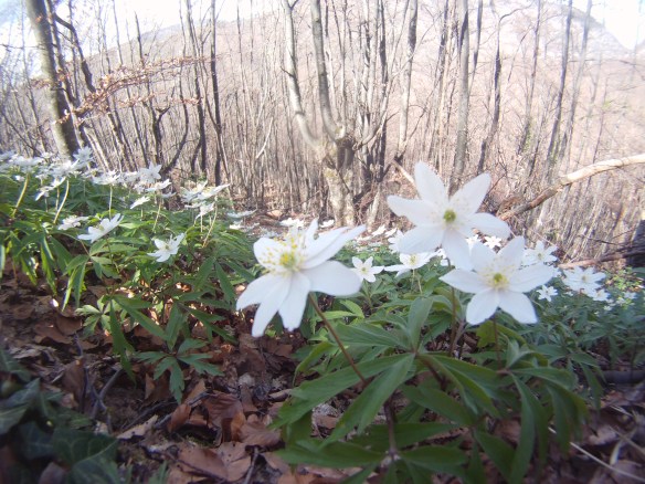 Spring awaits exploration