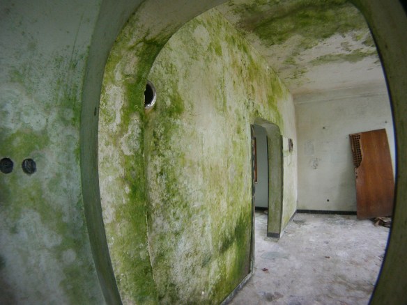 Northern entrance to spasa tunnel was below the floors of this abandoned hardware store