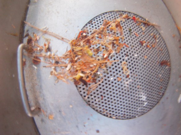 Very common site, instant noodle debris in the bathroom sink