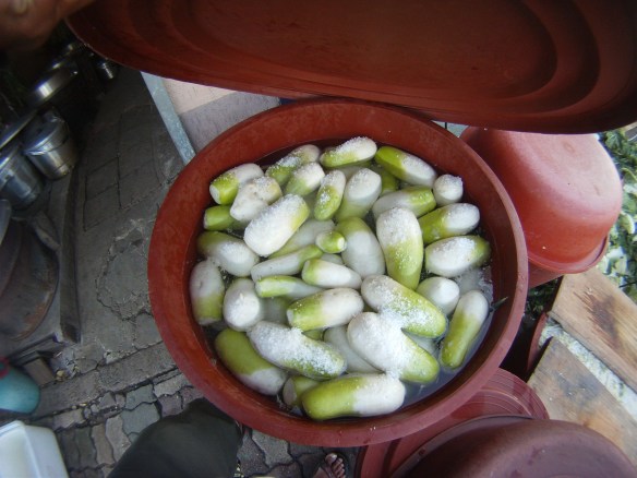 Whole Daikon soaking in salt water