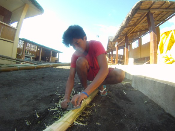 Sanding the bamboo clean for a kubo, bamboo house. This boy spent hours sanding with a butcher knife