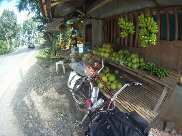 Fruit stand, Local price for Papaya is close to $0.50 dollars a kilo, and close to a dollar for Bananas. 