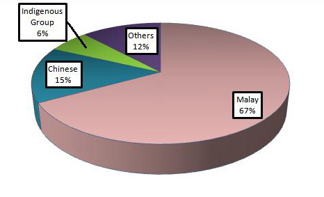 Brunei ethnic population