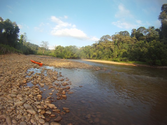 Kayaking the Singai Temburong river