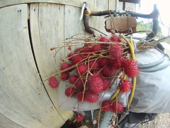 A bouquet of Rambutan, a sweet lychee like fruit