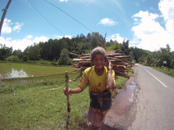 I passed this old lady on the road. She must have been close to 80! preparing fuel for cooking dinner.