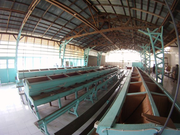 Inside the coffee plantation. Each bean is individually inspected by a local Torajan! Only 10% make it into coffee.