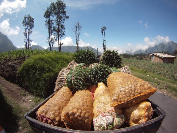 Mountainous vegetables on route to the Pasar 