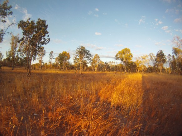 Good bye to the warm desert, dust and endless bull flies