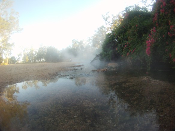 Innot Hot Springs. I pedaled a long 140 km to reach these by night fall, it was worth it.