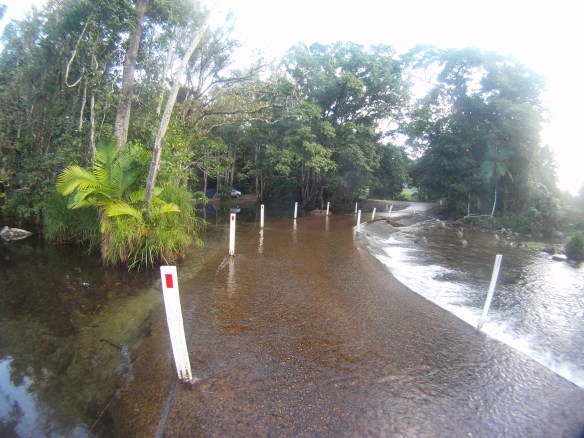 Venturing across a jungle causeway