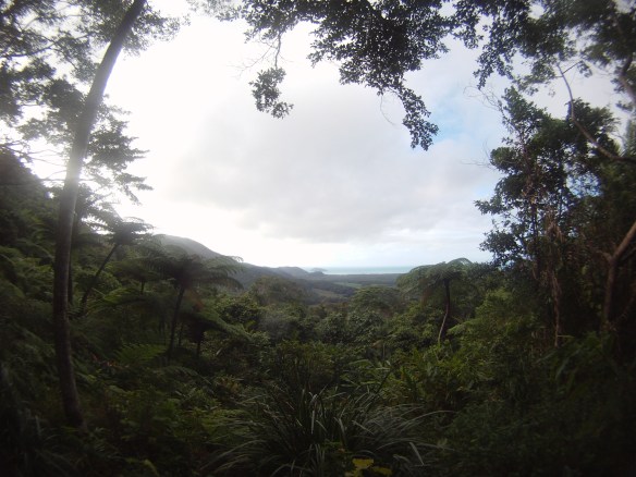 Lookout from the Alexander mountain range. Below is where the infamous Steve Erwin was killed by a sting ray