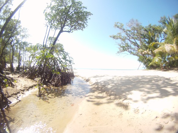 One of the many secluded estuaries