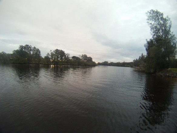 Chili coastal waters of Forster, NSW